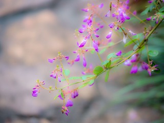 P1000961