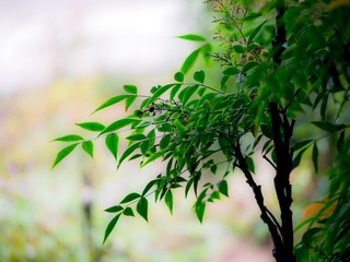 P1000966