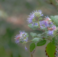 P1000960