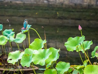 P1010017