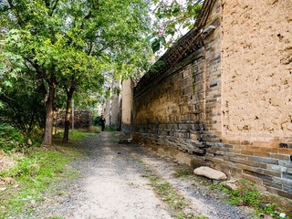 P1010559