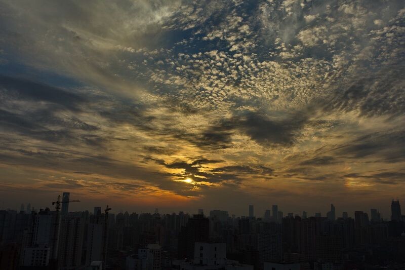在上海要等到这样的天气不太容易，而有了这样的天气也要有一个合适的位置，如果没有合适的位置，那么也就看看天空吧。就当是糖精片冲的麦乳精。