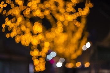 _ZLP0106