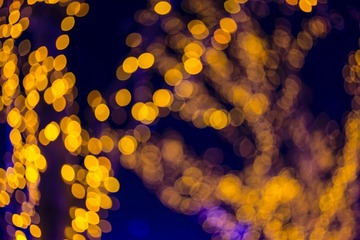 _ZLP0107