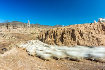 ZLP_3989