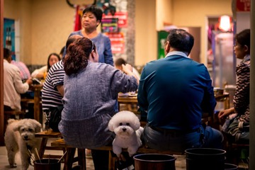 ZLP_9764