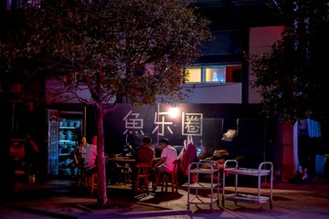 ZLP_9868
