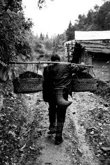 XLJ_2920_2