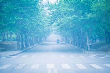 _MG_3933-2