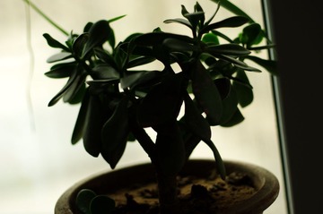DCIM_0014