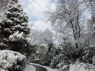 20130219_100125