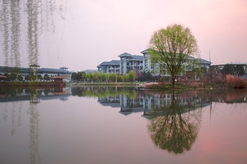 ZWN_9673