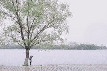 ZWN_0241-1