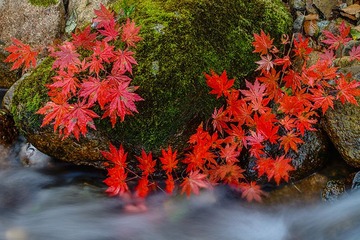 _DSC0639-s