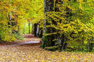 _DSC2872-s