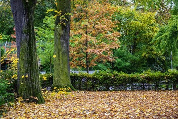 _DSC4245-s