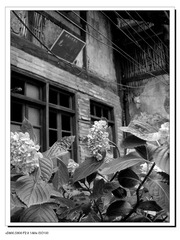 P5048895-1