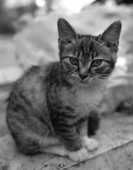 IMG_20160916_001537