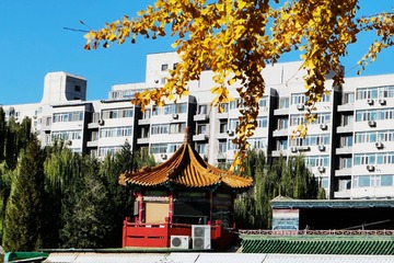 仿佛是桃花