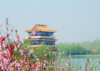花影中的楼阁