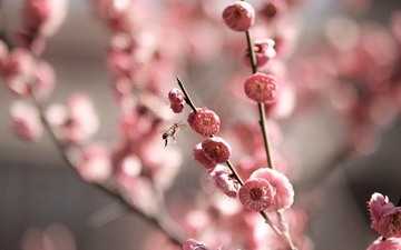 50C124A8-74C9-4E02-B236-7F9D5CE6DC13/L0/001