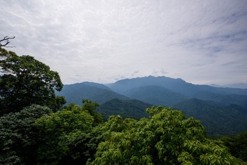 D368291B-32F8-475E-BB53-2704C86280D0/L0/001