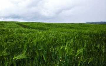 IMG_5073-1600