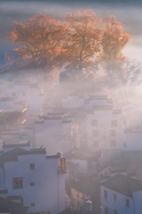 _DSC5054