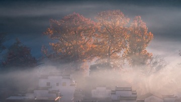 _DSC5049