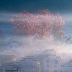 _DSC5041