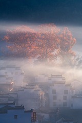 _DSC5044