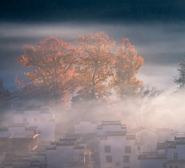 _DSC5050