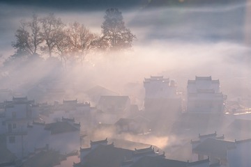 _DSC5064