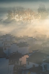 _DSC5040