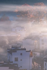 _DSC5043