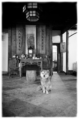 IMG_0037 (2)