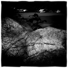 IMG_0114 (3)
