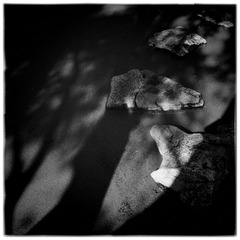 IMG_0123 (3)