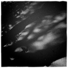 IMG_0162 (3)