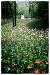 IMG_0246 (2)