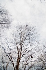 20111015-23.jpg