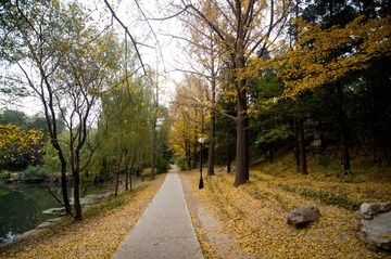 DSC_0532.jpg