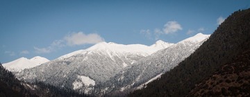20120317-_DSC0215.jpg