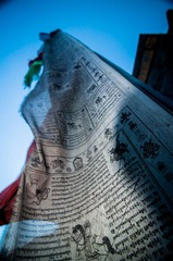 20120317-_DSC0483.jpg