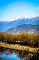 20120318-_DSC0246.jpg