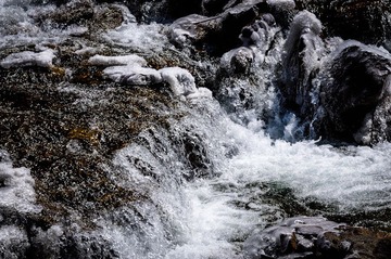 20120318-_DSC0270.jpg