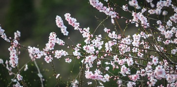 20120318-_DSC0572.jpg