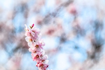 20120318-_DSC0588.jpg