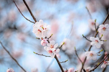 20120318-_DSC0591.jpg