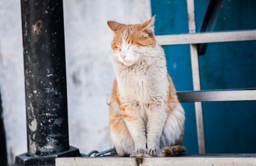 20120321-_DSC0133.jpg